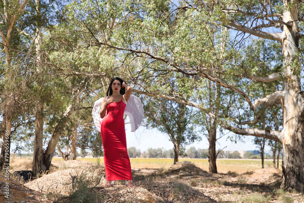 South American woman, young, beautiful, brunette with red dress and white wings, posing in the middle of nature, pure, alone, relaxed and calm. Concept angels, beauty, costumes, wings, halloween. South American woman, young, beautiful, brunette with red dress and white wings, posing in the middle of nature, pure, alone, relaxed and calm. Concept angels, beauty, costumes, wings, halloween.