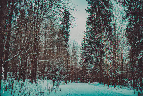 Whispering Pines Trail