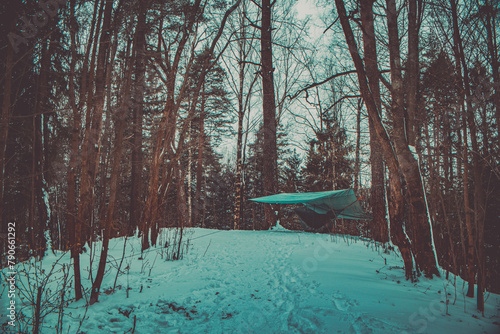 Winter Hammock Haven