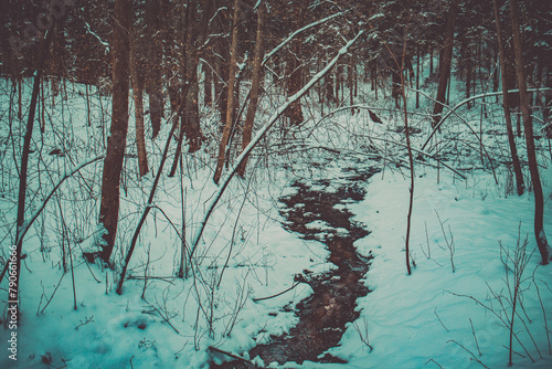 Winding Winter Creek