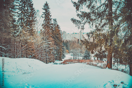 Metro Winter Vista