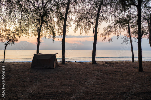 Camping tent on sand under tree pine in the morning, Outdoor lifestyle concept.