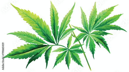 Cannabis A green branch Cannabis indica Marijuana m