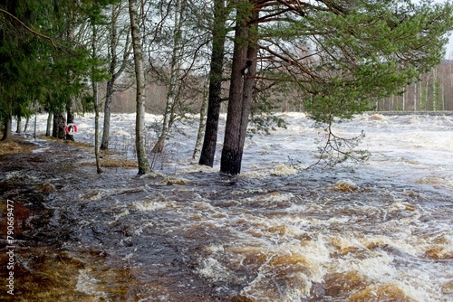Springflood near Fanforsen in the small village of Björbo in Dalarna, Sweden. photo