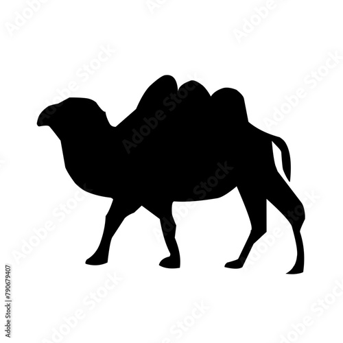 Camel illustration set on white background, vector, isolated,vector illustration.