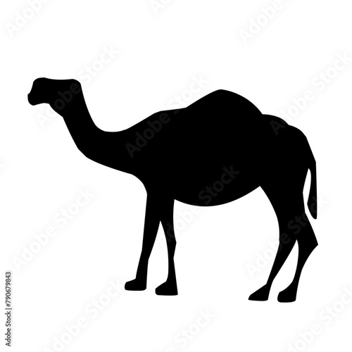 Camel illustration set on white background, vector, isolated,vector illustration.