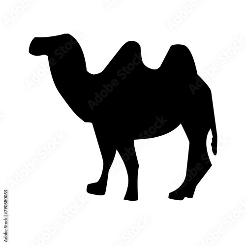 Camel illustration set on white background, vector, isolated,vector illustration.