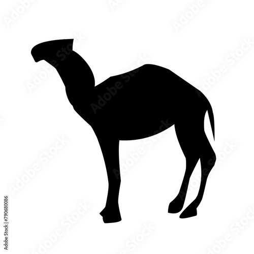 Camel illustration set on white background  vector  isolated vector illustration.