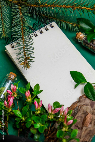 Notatnik przyrodniczy, miejsce na tekst, na zielonym tle. W otoczeniu roślin azali, liści i iglaka.  © Katarzyna