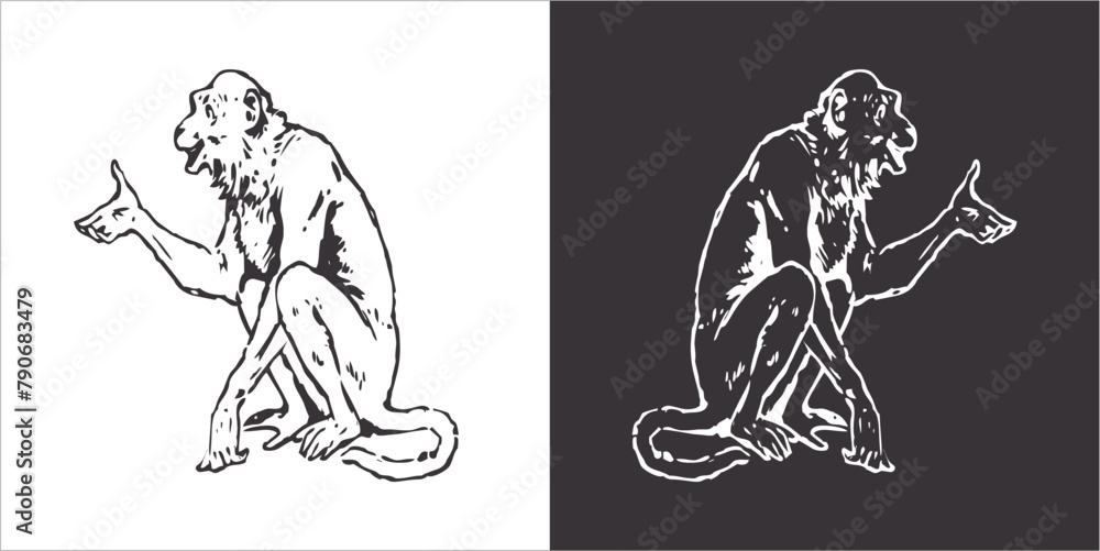 Illustration vector graphics of monkey icon Illustration vector graphics of monkey icon