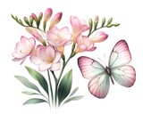 Watercolor illustration of soft pink Freesia flowers with Butterfly