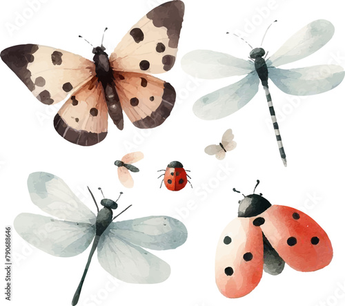 set of various watercolor insects: butterfly, dragonfly, ladybug