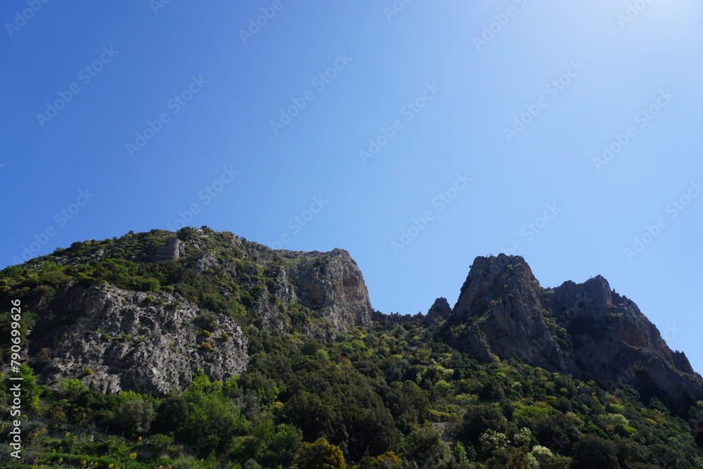 Blue clear sky, mountain peaks with green cover. Sunny day, bright greenery. Blue clear sky, mountain peaks with green cover. Sunny day, bright greenery.