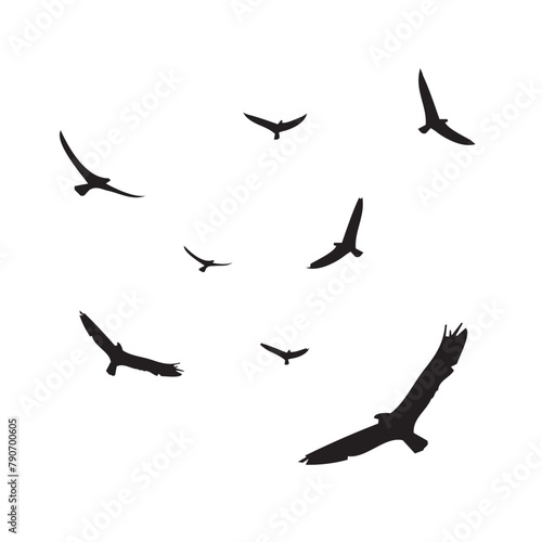 Set of flying bird silhouettes. Flock of eagle flying. Vector illustration isolated on a white background.