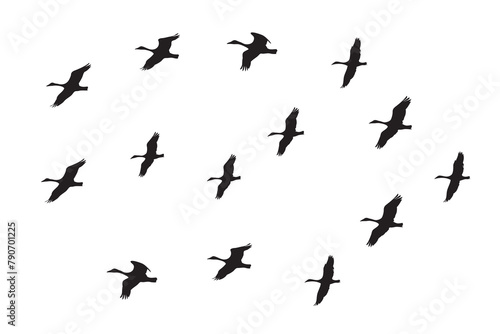 Flock of birds silhouette vector illustration. Set of silhouettes of flying geese migrating for new home