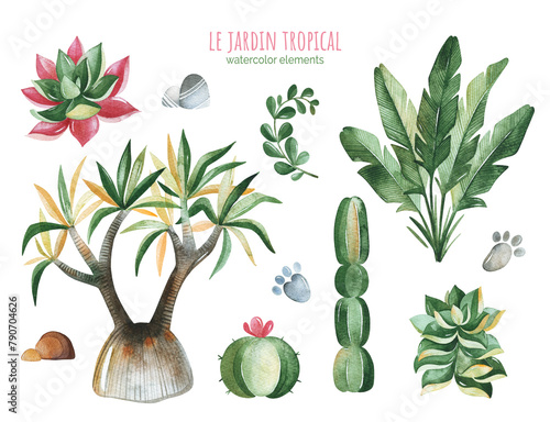 Watercolor collection with tropical plants-succulents,cactus,dragon trees,palm and more. Perfect for your project, wedding, invitations, wallpapers, prints, textile etc