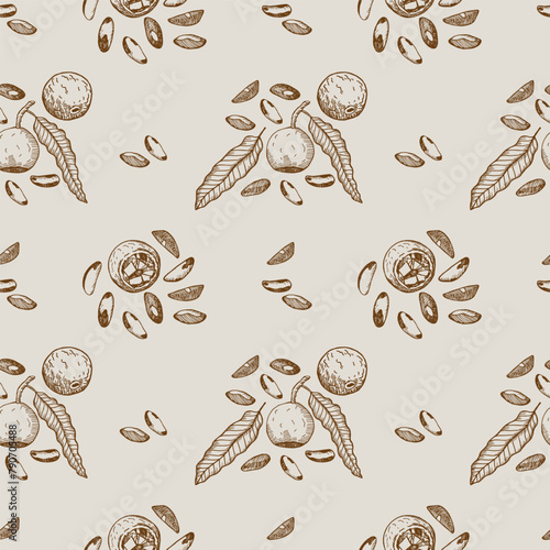 Brazil nut seamless pattern with fruit, tropical plant Bertholletia. Vintage repeating background with engraved sketch nuts. Healthy food, ingredient. Design for print, wrapping, card, paper, textile