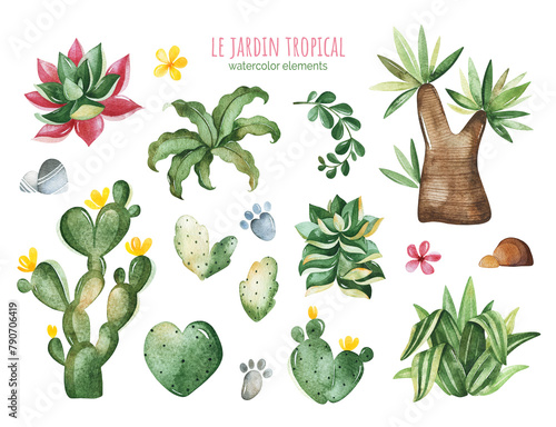 Watercolor collection with tropical plants-succulents,cactus,dragon trees and more. Perfect for your project, wedding, invitations, wallpapers, prints, textile etc	
