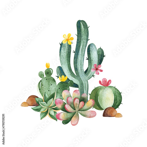 Watercolor composition with succulents,cactus,flowers and stones. Tropical collection.Perfect for your project, wedding, invitations, wallpapers, prints, textile etc