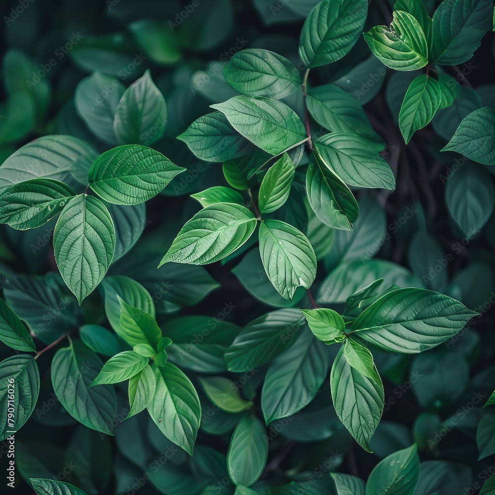 Summer Symphony: Verdant Garden Leaves Summer Symphony: Verdant Garden Leaves