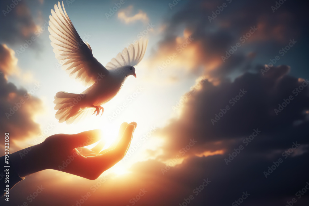 Dove flies off your hand. Hope and freedom concept. International day ...