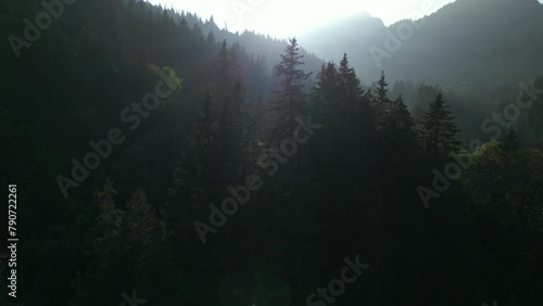 Drone shot of foogy mystical woodland nature outdoors photo