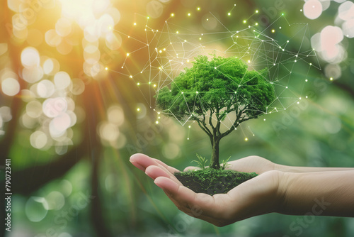 Striking visual of a hand offering a digital representation of a green tree, underscoring the significance of sustainable development.