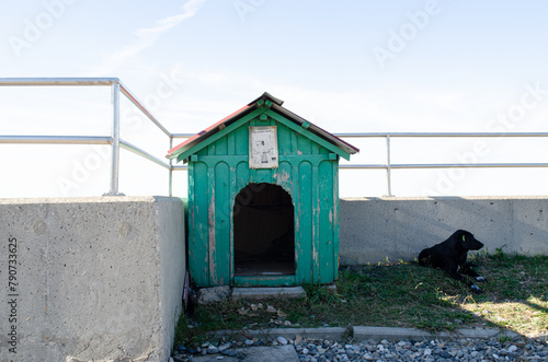 A dog and its booth, a black dog near the fence