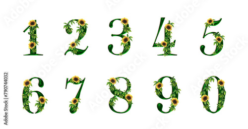The summer set of floral numbers with leaves and sunflowers. Beautiful graphic in PNG for design.