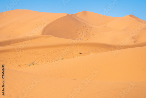 Merzouga  Morocco  Stunning sand dunes in the desert
