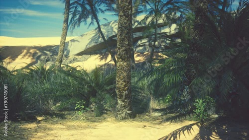 Palm trees in desert Liwa dunes photo