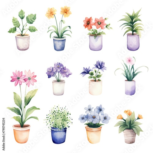 A watercolor painting of various flowers and plants in pots.