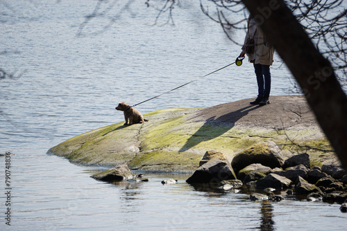 a dog on a leash sits by the water