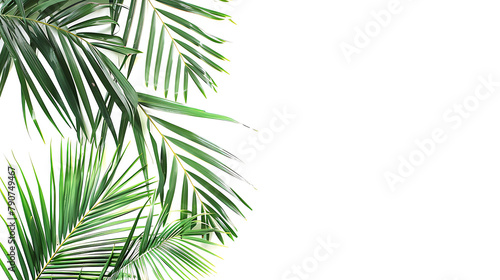 Palm Branch in Corner Tropical Plant Decoration