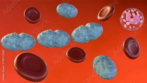 3d rendering of Septicemia, or sepsis, is the clinical name for blood poisoning by Streptococcus pyogenes bacteria. photo