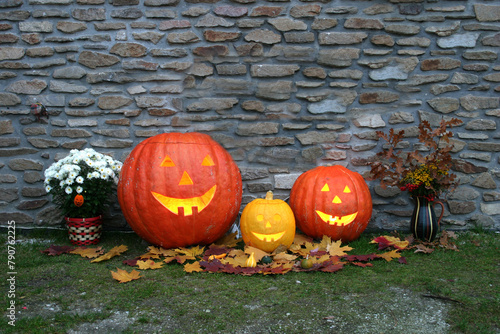 halloween pumpkin in the garden