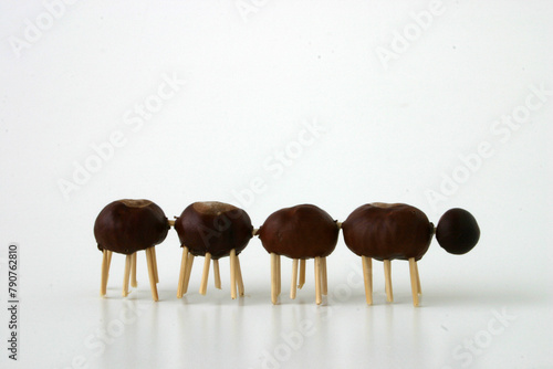 chestnut animals