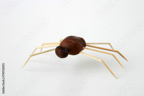 chestnut animals