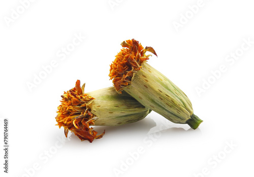 Dry tagetes or marigold flower heads with seeds isolated on white background. Annual flowers growing, gardening.