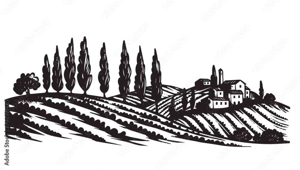Vineyard landscape, Sketch, hand drawn illustrations. Vineyard landscape, Sketch, hand drawn illustrations.