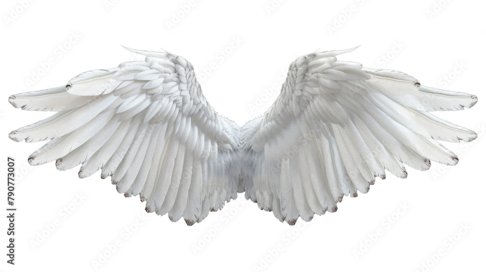 Angel wings Angel wings