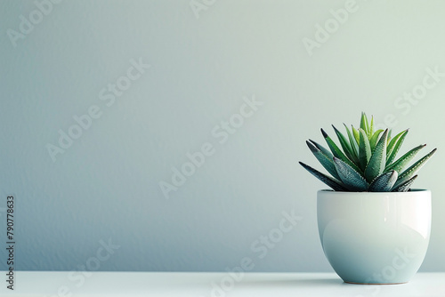 A small white pot with a green plant in it sits on a white table