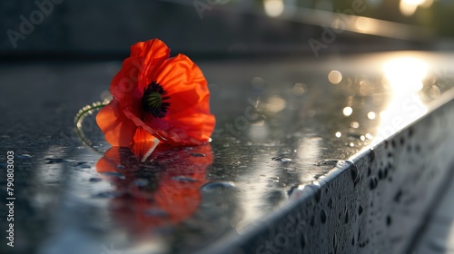 Pay tribute to fallen heroes with a close-up shot of a single red poppy resting on a war memorial, symbolizing sacrifice and remembrance photo