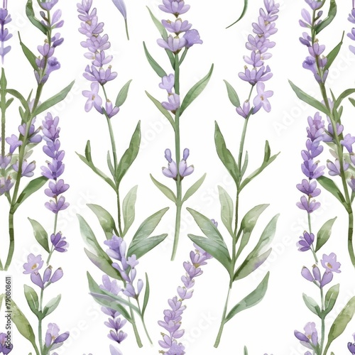 Seamless Watercolor Lavender Flowers Pattern Background