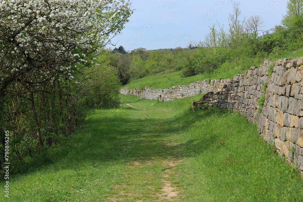 Trockensteinmauer an einem Wanderweg im Heckengäu bei Iptingen