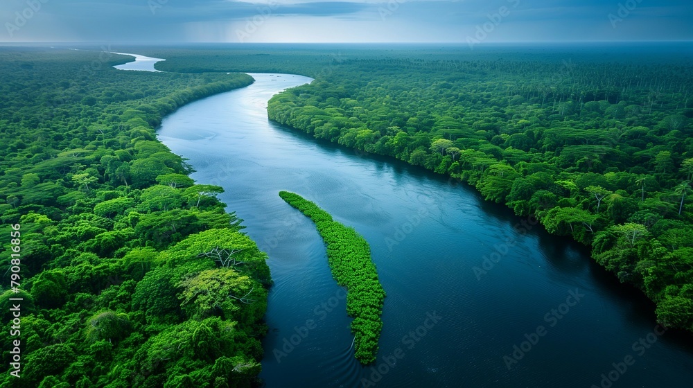 Wild Beauty: Aerial Perspective of Winding River in Dense Rainforest, generative ai