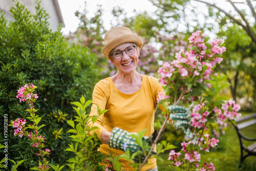 Portrait of happy senior woman gardening. She is pruning flowers.