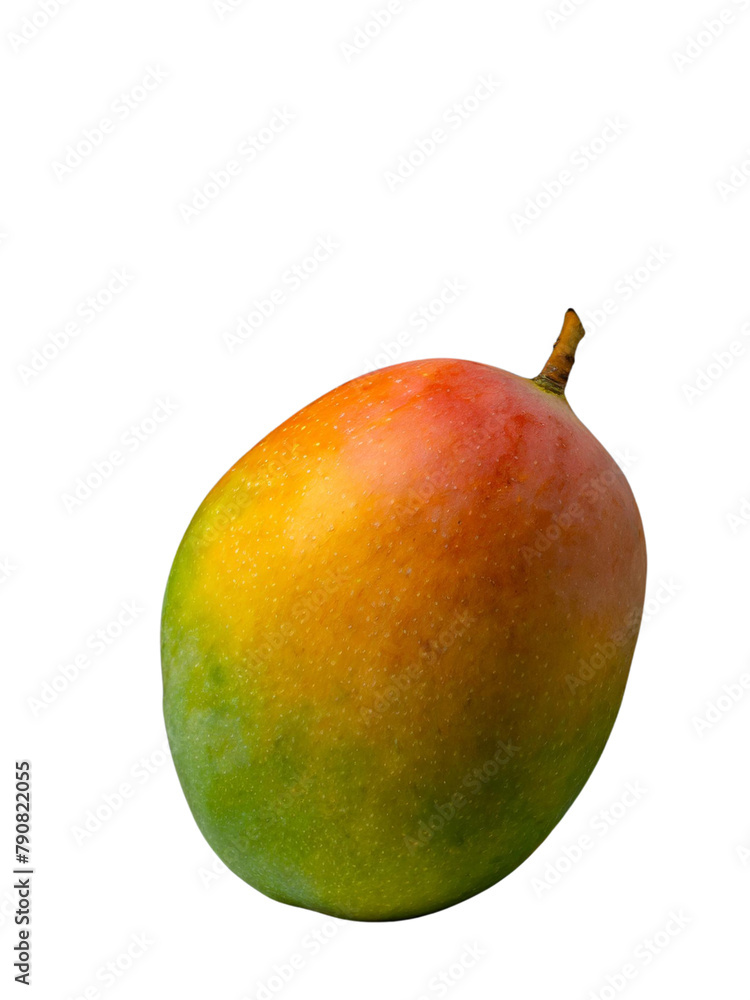 A single pic mango on trensforent background A single pic mango on trensforent background