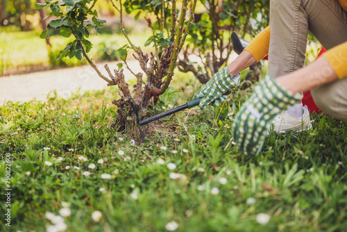 Close up image of senior woman gardening in her yard. She is using rake.