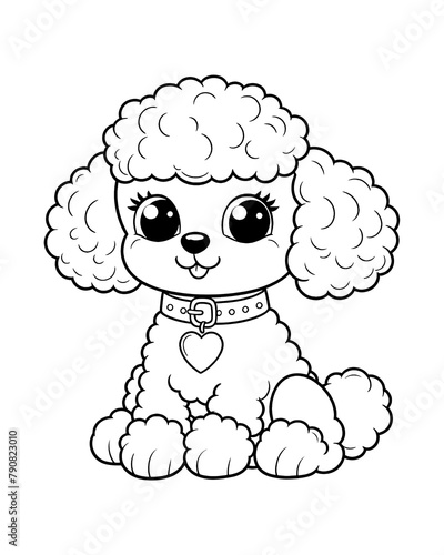 dog poodle